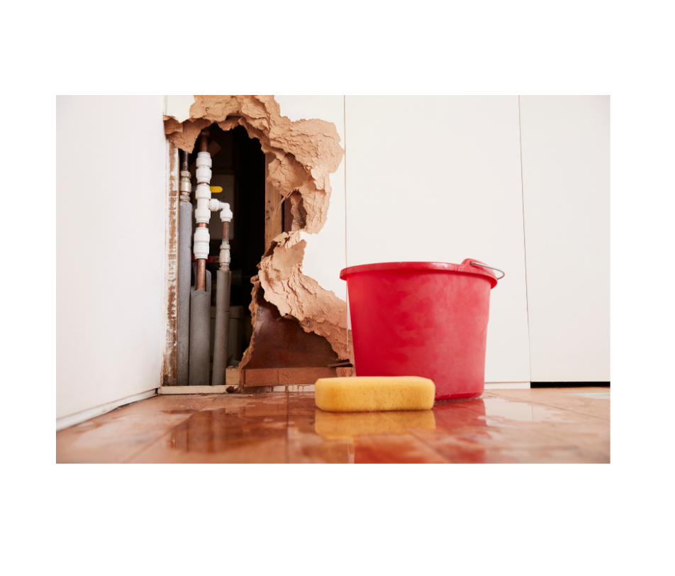 Water Damage Restoration